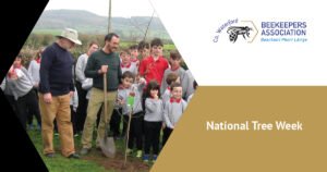 national tree week