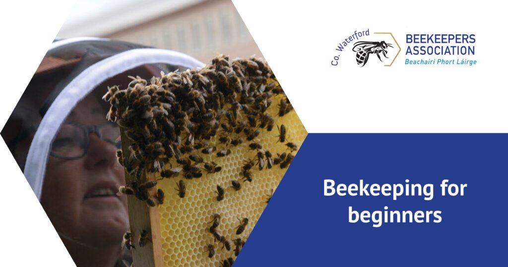 Beekeeping for beginners